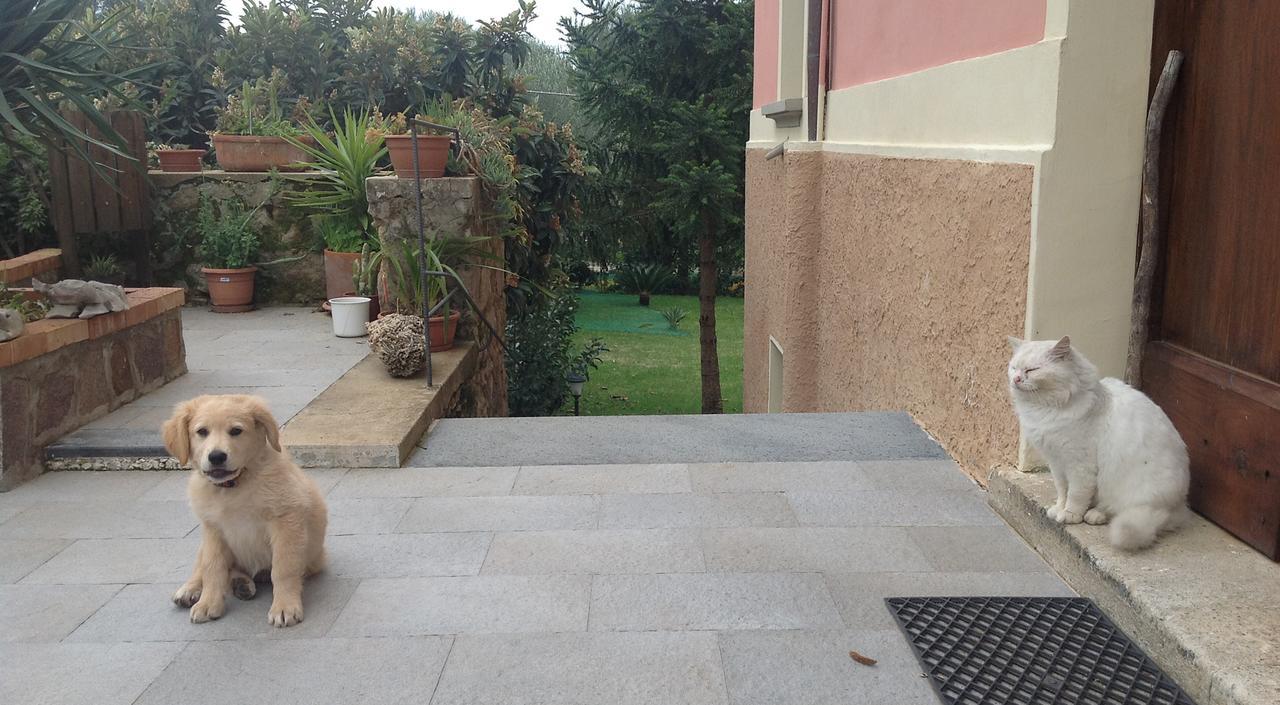 Villa Vincenza Vallo della Lucania Buitenkant foto