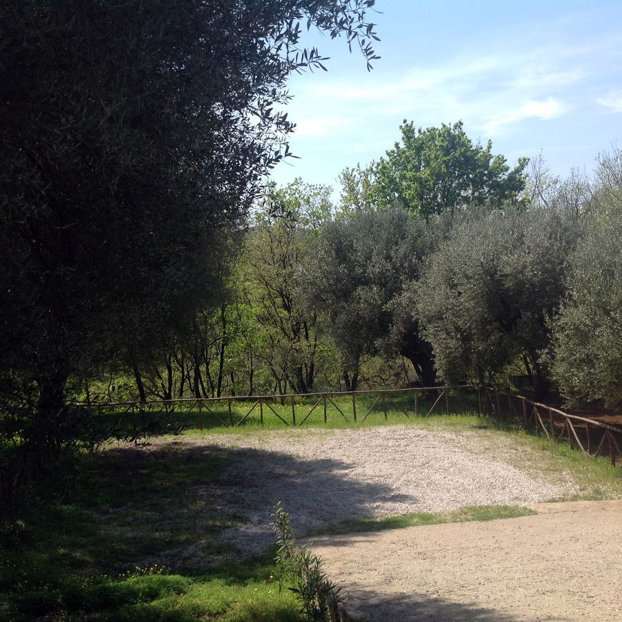 Villa Vincenza Vallo della Lucania Buitenkant foto
